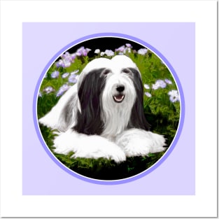 Bearded Collie Posters and Art